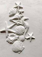 Load image into Gallery viewer, RETIRED!!! IOD Iron Orchid Decor Mould  Mold Sea Shells